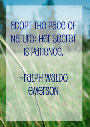 Emerson Nature Quotes Nature Quote From Ralph Waldo
