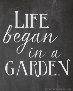 Life began in a garden chalkboard