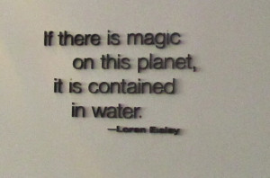 Exhibits quote #1