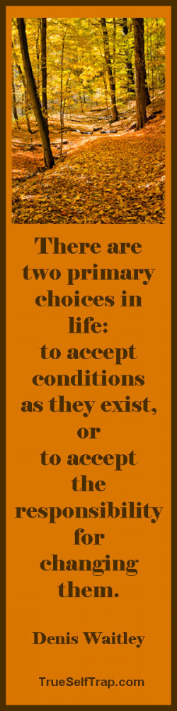 Denis-Waitley-Quote-Two-Choices.jpg