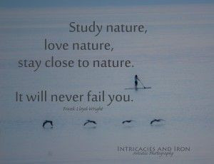 Study Nature - Frank Lloyd Wright Quote