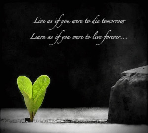 right now the image Famous Inspirational And Motivational Quotes ...