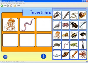 Vertebrates and Invertebrates Chart