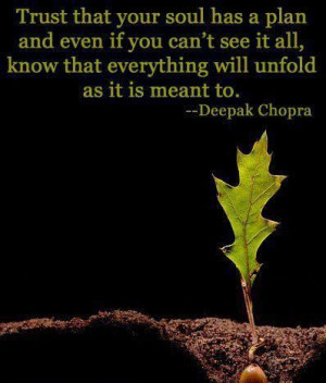 quote from Deepak Chopra