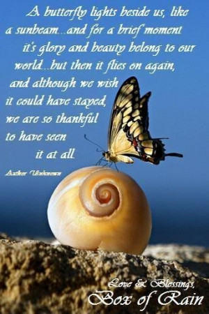 BUTTERFLIES INSPIRATIONAL QUOTES AND BEAUTIFUL PICTURES