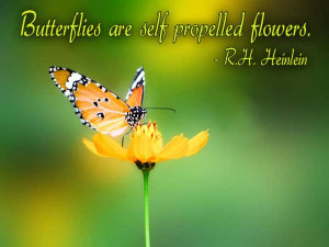 Butterflies are self propelled flowers.