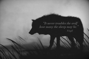 It never troubles the wolf