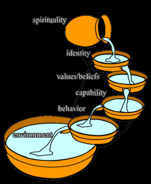 hierarchy of neurological levels of believes