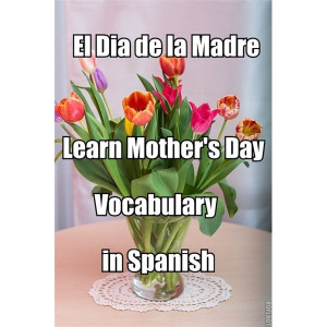... learning spanish el dia de la madre mother s day vocabulary in spanish