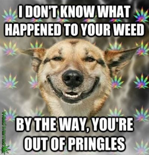 dog ate the weed funny weed memes – jokes -quotes #smoke #marijuana