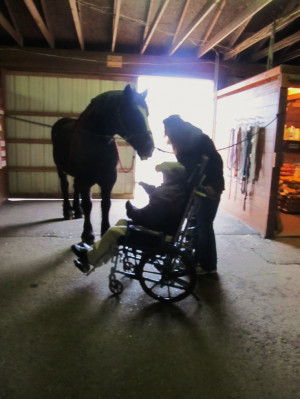 Horses for Heroes Veteran Program, starts by accepting Veterans as ...