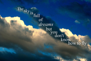 The sky is full of dreams, but you don't know how to fly.