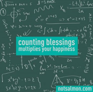 Counting Blessings - Karen Salmansohn