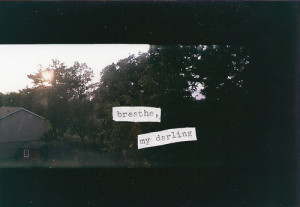breathe, darling, house, love, quote, trees, typography, vintage