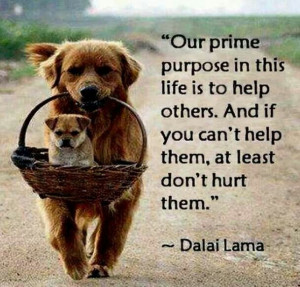 Help others....don't hurt them!