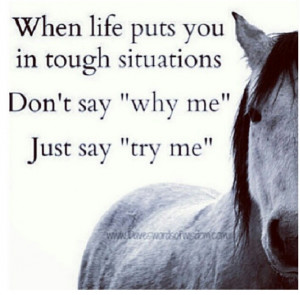 Pin Symptoms Funny Barrel Racing Quotes Monkeys Tattoo Pinterest