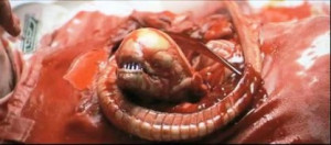 Alien_chestburster[1]