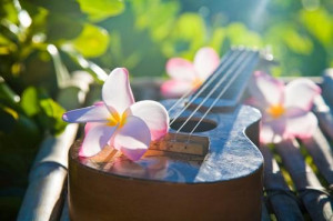 hawaii, hawaiian, music, paradise, plumeria, tropical, ukulele