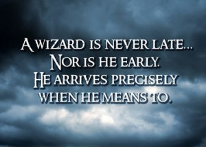 Lord of the Rings The Sword in the Stone The Wizard of Oz Harry Potter ...