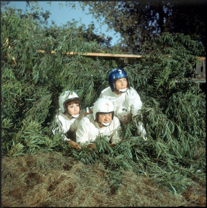 Of Buddy Hackett, Dean Jones And Michele Lee In The Love Bug (1968