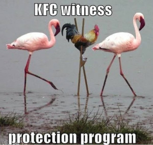 Funny KFC Kentucky Fried Chicken Witness Protection Program Picture ...