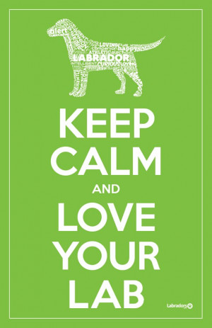 Keep Calm & love your lab