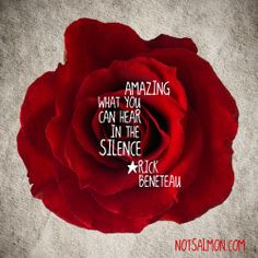 ... the silence. notsalmon Karen Salmansohn Karen Salmansohn #silence More