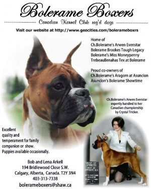 boxer dog quotes http www bolerameboxers com main html