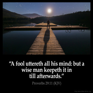 Proverbs 29:11 Inspirational Image