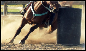 Barrel Racing by eclipes12