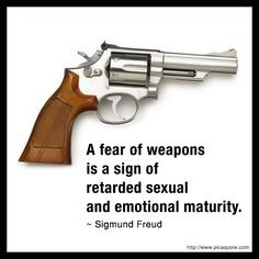 quotes about guns | Gun Posters and Gun Quotes | Brian's Blog More