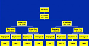Common Organizational Designs Bureaucracy