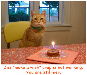 Diiz “make a wish” crap is not working. You are ztil hier.”