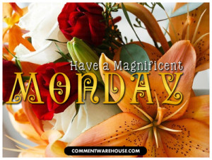 ... magnificent-monday/][img]alignnone size-full wp-image-55377[/img][/url