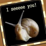 Snail :) Love It!!!