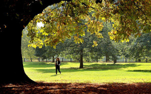 ... Hyde Park in central London as the warm September weather continues