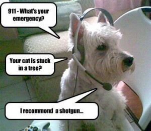 The Diary of a Mad Dispatcher