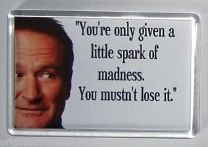 Robin-Williams-Quote-movie-poster-fridge-magnet-New-Mrs-Doubtfire-Jack ...