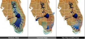 Changes in hydrology will dramatically affect amphibian community ...