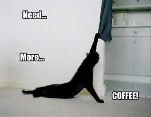 Funny Cat needs more coffee