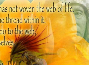 Chief Seattle’s insight….