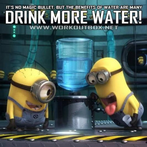 1237164_216504378517958_47414383_n.jpg (532×532)