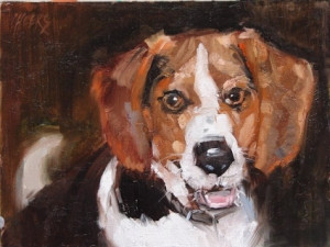 beagle love is a filet beagle love