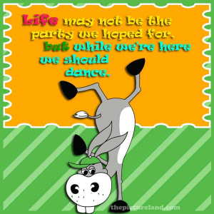 Donkey-Dancing-Picture-With-Life-Sayings-About-It-May-Not-Be-A-Party