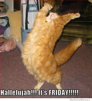 Hallelujah! It’s Friday! cat meme