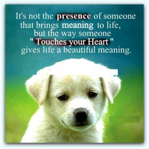 Excellent Quotes on Heart !!