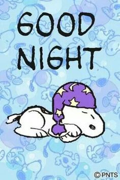 good night snoopy more good night night snoopy snoopy s gang snoopy s ...