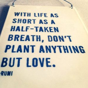 ... text don't plant anything but love rumi quote. MADE TO ORDER