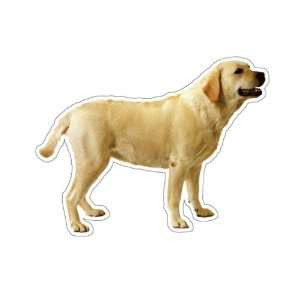 127123814_labrador-retriever---dog-decal---sticker-yellow-lab-car.jpg