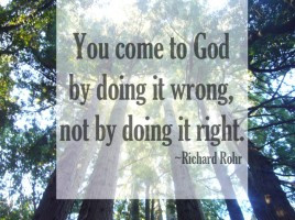 You come to God by doing it wrong, not by doing it right. ~Richard ...